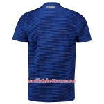 Maillot/Tenue Suède Exterieur Coupe du monde 2018